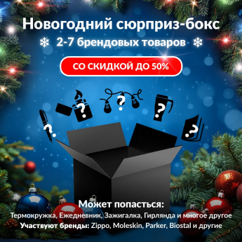 Новогодний сюрприз-бокс THETFORD 1